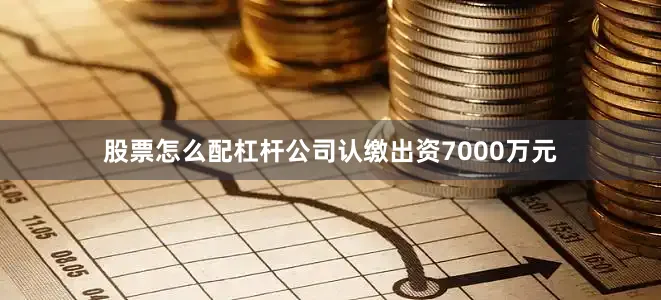 股票怎么配杠杆公司认缴出资7000万元