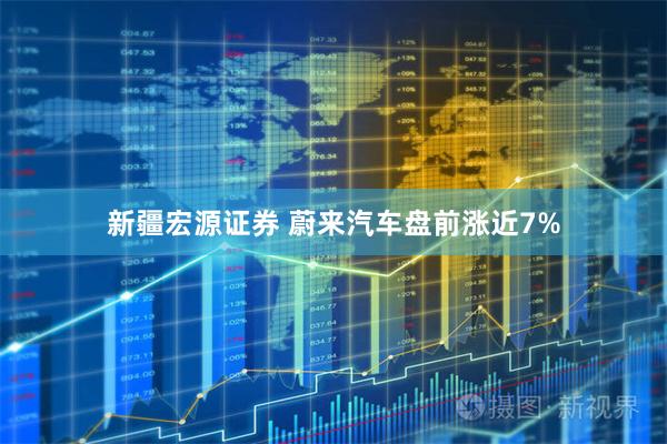 新疆宏源证券 蔚来汽车盘前涨近7%