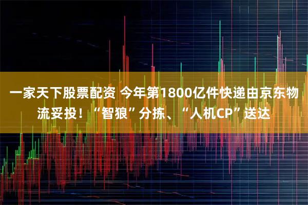 一家天下股票配资 今年第1800亿件快递由京东物流妥投!“智狼”分拣、“人机CP”送达