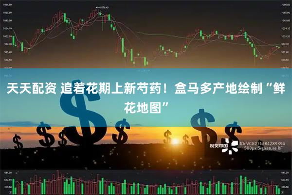 天天配资 追着花期上新芍药！盒马多产地绘制“鲜花地图”